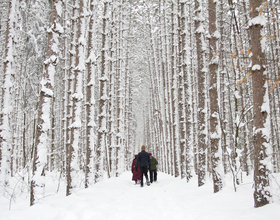 Syracuse hosts annual WinterFest, celebrates city history with entertainment and events