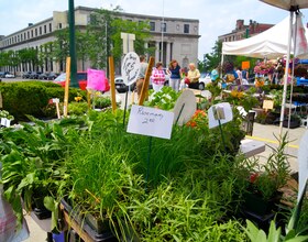 Syracuse Downtown Farmers Market expands, features more than 50 local farmers