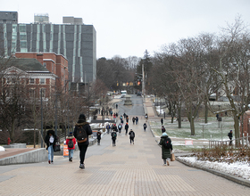 Breaking down the Board of Trustees diversity and inclusion recommendations