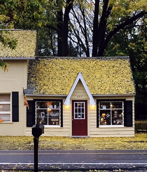 The Gift Box, a local gift shop, has hosted its annual Open House for 14 years, featuring local artists.