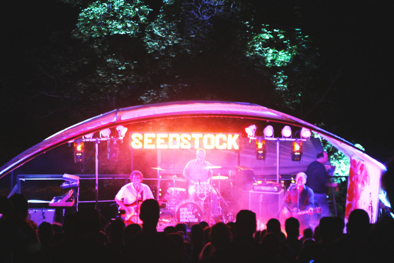 Seedstock music mestival to celebrate 10th anniversary this weekend