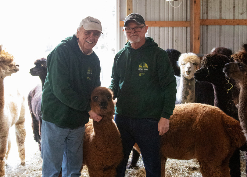 FLUFFY LOVE: 24 alpacas keep 40 years of love running strong