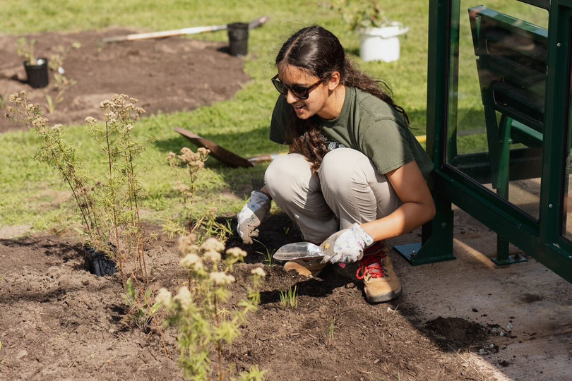 Mini Meadows broadens Syracuse’s biodiversity, 1 flower at a time